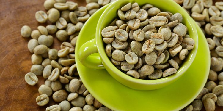 Yeşil Kahve Nedir? Metabolizmayı Nasıl Hızlandırır? Adım Sayar